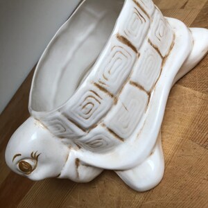 Puede incluir: Maceta de cer&aacute;mica blanca en forma de tortuga con un dise&ntilde;o de caparaz&oacute;n marr&oacute;n. La cabeza de la tortuga est&aacute; girada hacia un lado y tiene un ojo marr&oacute;n.
