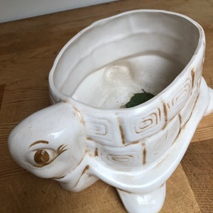 Puede incluir: Maceta de cer&aacute;mica blanca en forma de tortuga con detalles pintados en marr&oacute;n. La tortuga tiene un caparaz&oacute;n ancho y abierto que se puede utilizar para contener plantas u otros art&iacute;culos decorativos.