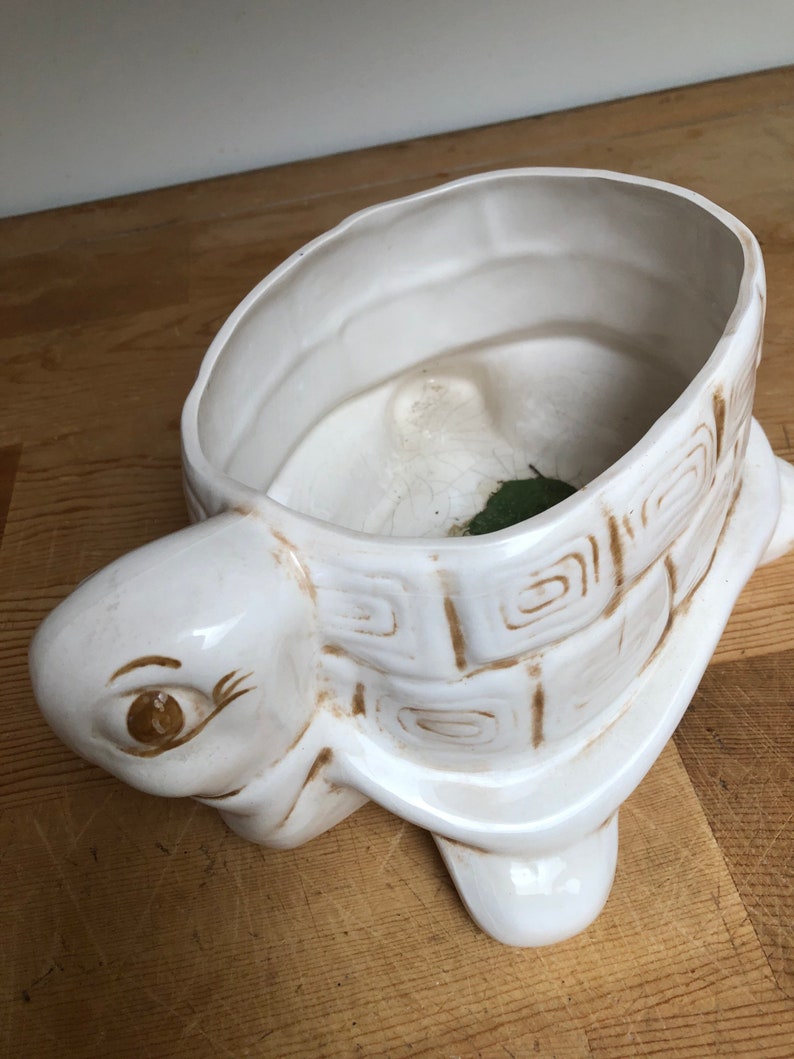 Puede incluir: Maceta de cer&aacute;mica blanca en forma de tortuga con detalles pintados en marr&oacute;n. La tortuga tiene un caparaz&oacute;n ancho y abierto que se puede utilizar para contener plantas u otros art&iacute;culos decorativos.