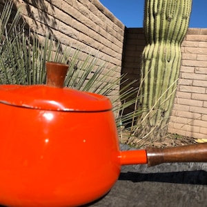 May include: Orange enamel saucepan with a wooden handle. The saucepan is sitting on a wooden surface in front of a cactus.