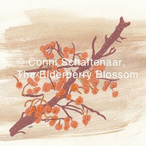 Download 5x7 Print from Watercolor Painting Orange Berries in Fall for matting and framing Gift Idea image 2