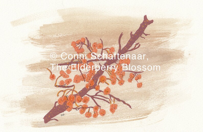 Download 5x7 Print from Watercolor Painting Orange Berries in Fall for matting and framing Gift Idea image 2