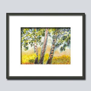 Fall Birch Trees Watercolor Print: Autumn Landscape Art (Digital Download)