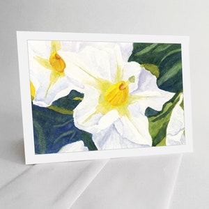 Descargar tarjeta de notas en blanco - Oda a Georgia O'Keeffe #2 Flores de papa - impresión de pintura de acuarela
