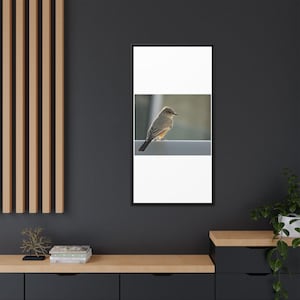 A Quiet Moment | Original Bird Photography image 12