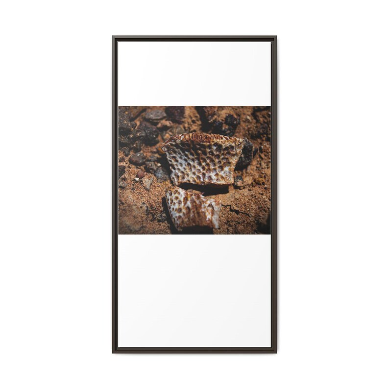 Ancient Armor | Fossil Photography Canvas Print | Prehistoric Natural History Wall Art image 13