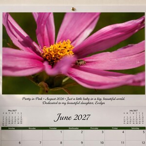 May include: A wall calendar for June 2027 featuring a large pink cosmos flower with a yellow center and a small spider on a petal. Text reads: Pretty in Pink, August 2026, Just a little baby in a big, beautiful world, Dedicated to my beautiful daughter, Evelyn.