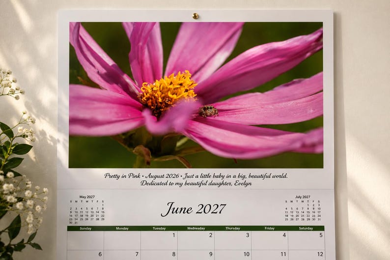 May include: A wall calendar for June 2027 featuring a large pink cosmos flower with a yellow center and a small spider on a petal. Text reads: Pretty in Pink, August 2026, Just a little baby in a big, beautiful world, Dedicated to my beautiful daughter, Evelyn.