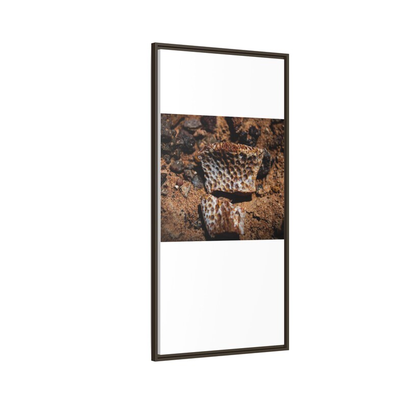 Ancient Armor | Fossil Photography Canvas Print | Prehistoric Natural History Wall Art image 14