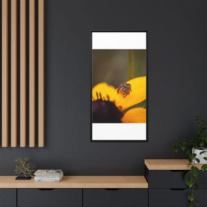Goldene Neugier | Originalfotografie der Springspinne Bild 12