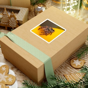 Golden Curiosity | Original Jumping Spider Photography Sticker 画像 3