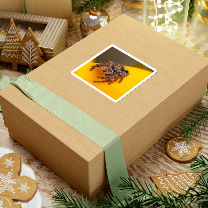 Golden Curiosity | Original Jumping Spider Photography Sticker 画像 3