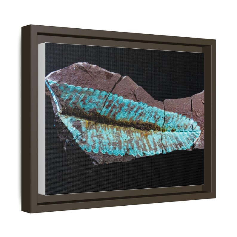 Spuren urzeitlichen Lebens | Leinwanddruck mit Fossilienfotografie | Wandbild zur prähistorischen Naturgeschichte Bild 18