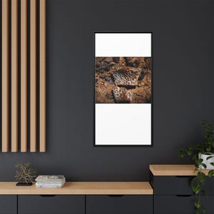 Ancient Armor | Fossil Photography Canvas Print | Prehistoric Natural History Wall Art image 12