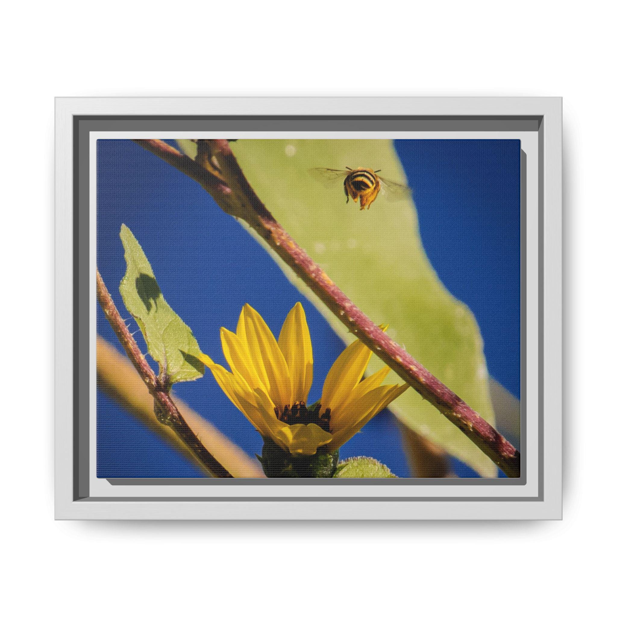 A small bee among sunlit yellow flowers and branches against a deep blue sky.