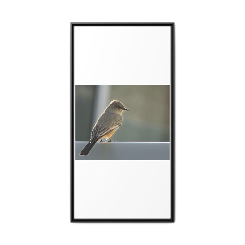 A Quiet Moment | Original Bird Photography image 9