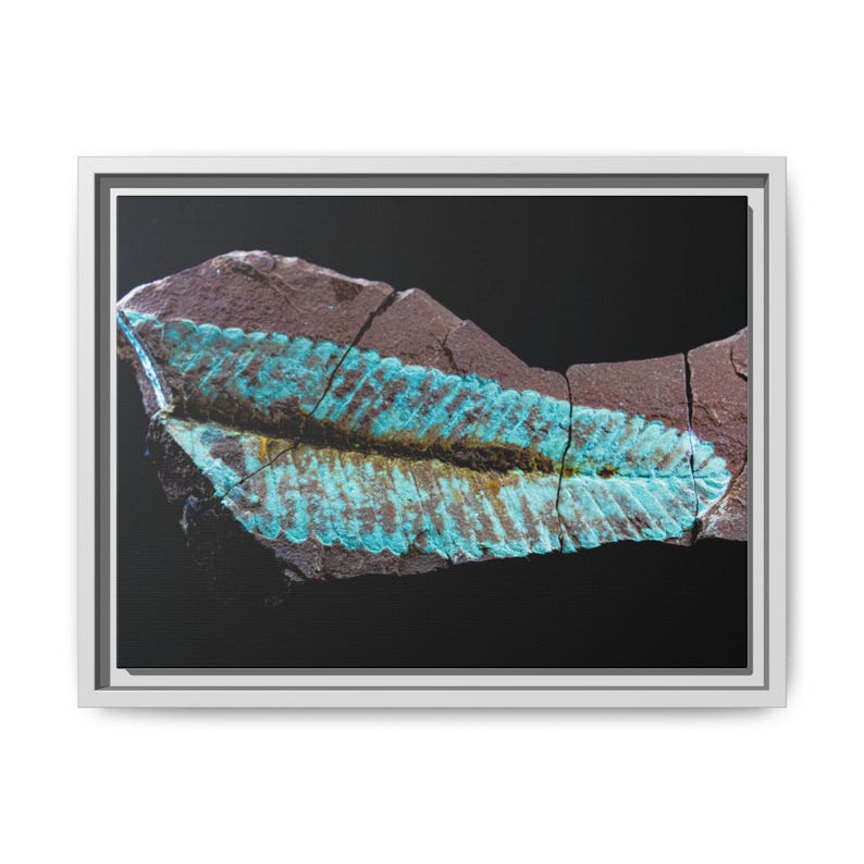 Spuren urzeitlichen Lebens | Leinwanddruck mit Fossilienfotografie | Wandbild zur prähistorischen Naturgeschichte Bild 5