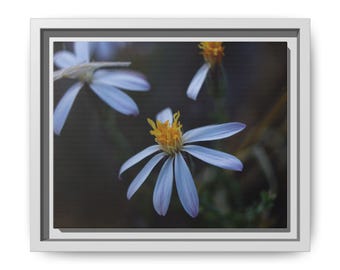 Whispers in Bloom | White Wildflower Photography Print | Moody Botanical Wall Art (Cotton Canvas)