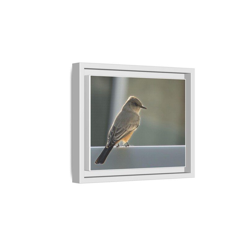 A Quiet Moment | Original Bird Photography image 2