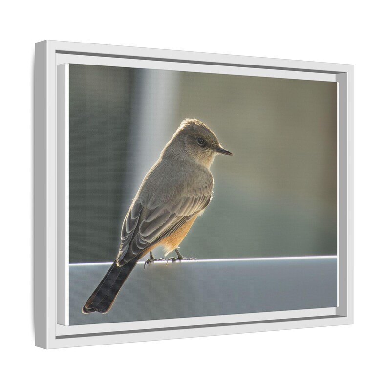 A Quiet Moment | Original Bird Photography image 6