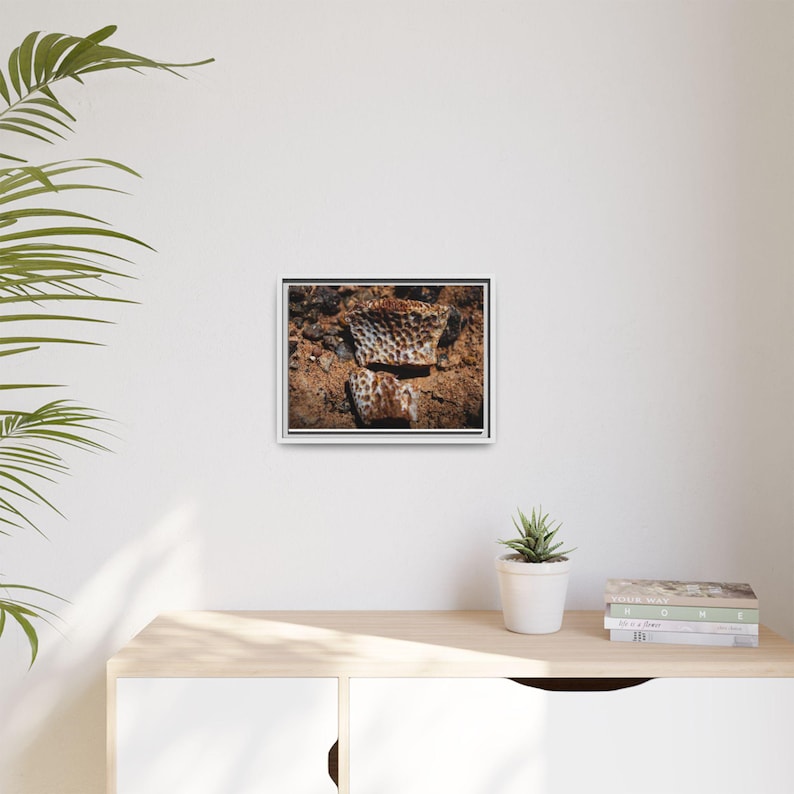 Ancient Armor | Fossil Photography Canvas Print | Prehistoric Natural History Wall Art image 7