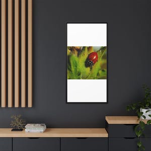 Among the Green | Original Lady Beetle Photography imagen 12