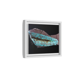 Spuren urzeitlichen Lebens | Leinwanddruck mit Fossilienfotografie | Wandbild zur prähistorischen Naturgeschichte Bild 2