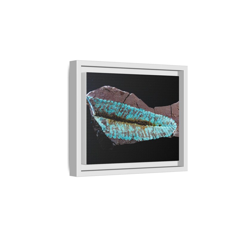 Spuren urzeitlichen Lebens | Leinwanddruck mit Fossilienfotografie | Wandbild zur prähistorischen Naturgeschichte Bild 2