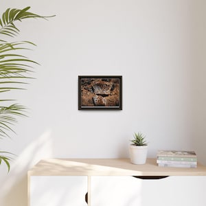 Ancient Armor | Fossil Photography Canvas Print | Prehistoric Natural History Wall Art image 19