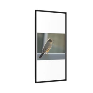 A Quiet Moment | Original Bird Photography image 10