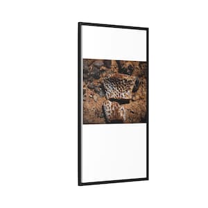 Ancient Armor | Fossil Photography Canvas Print | Prehistoric Natural History Wall Art image 10