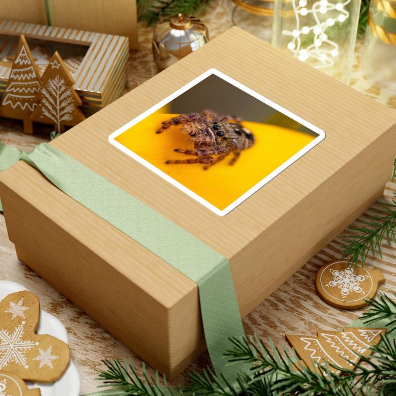 Golden Curiosity | Original Jumping Spider Photography Sticker 画像 6