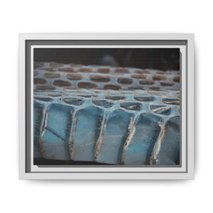 Snake Skin Macro Photography Print | Reptile Scale Texture Wall Art (Framed)