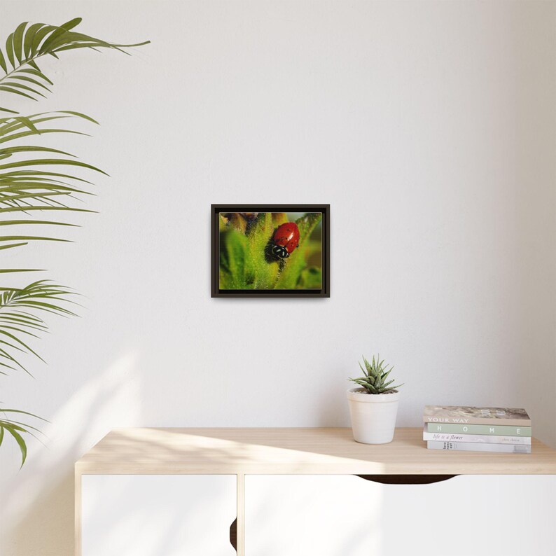Among the Green | Original Lady Beetle Photography imagen 19