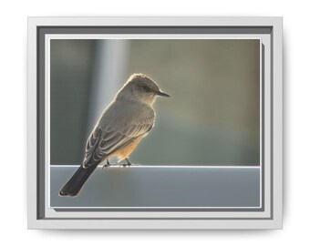 A Quiet Moment | Original Bird Photography
