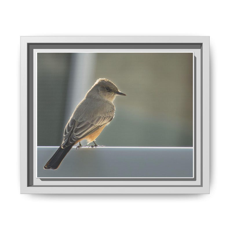 A Quiet Moment | Original Bird Photography image 1