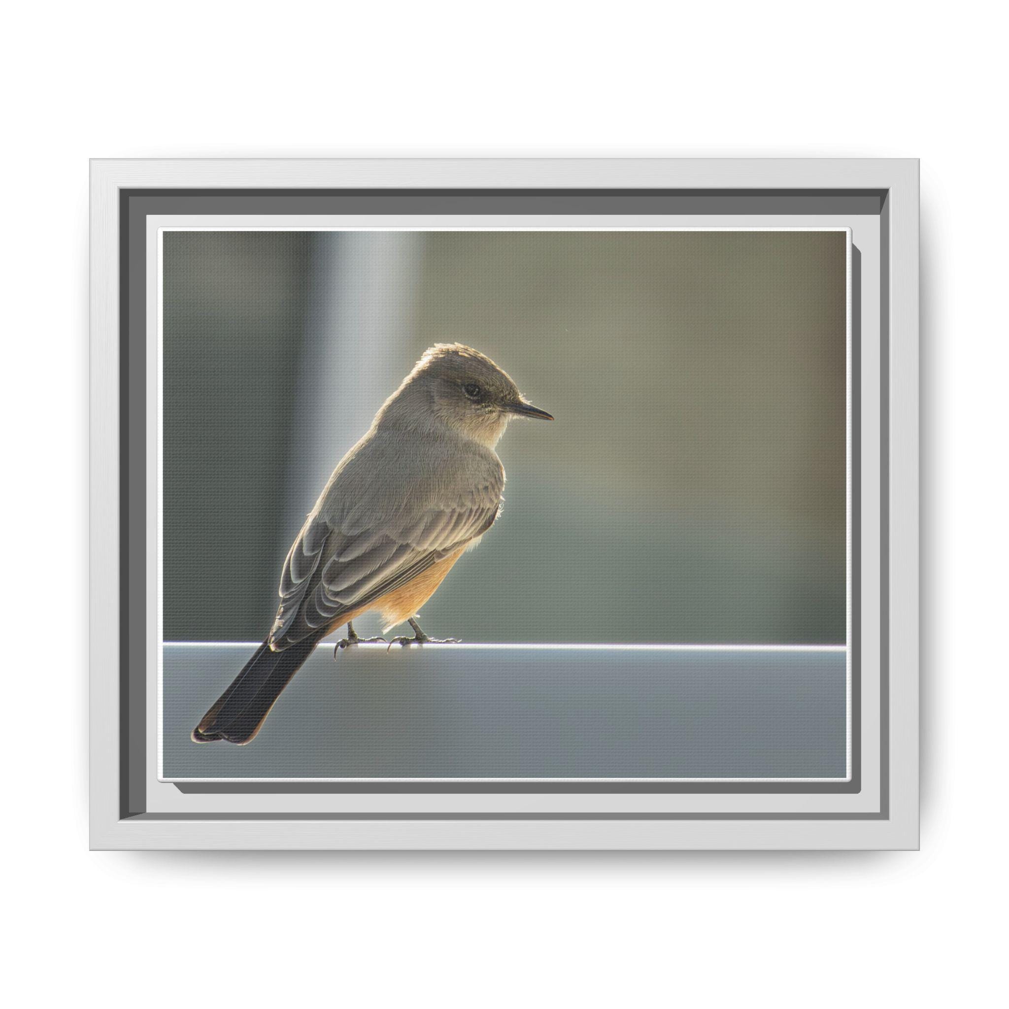 A small gray-brown bird resting on a ledge in soft natural light.