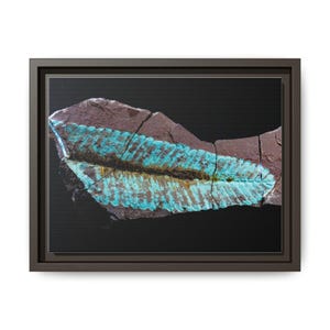 Spuren urzeitlichen Lebens | Leinwanddruck mit Fossilienfotografie | Wandbild zur prähistorischen Naturgeschichte Bild 17