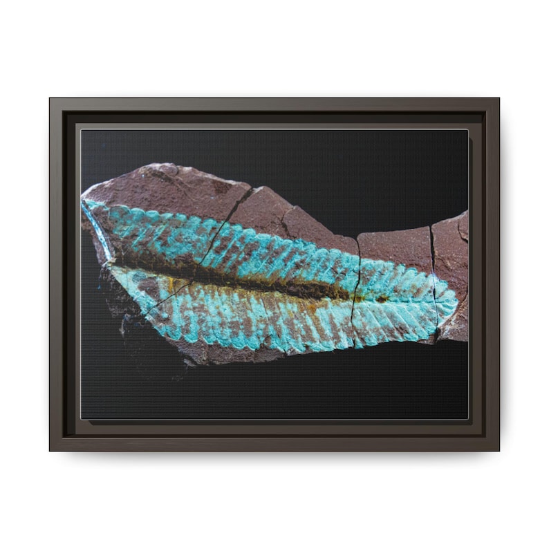 Spuren urzeitlichen Lebens | Leinwanddruck mit Fossilienfotografie | Wandbild zur prähistorischen Naturgeschichte Bild 17