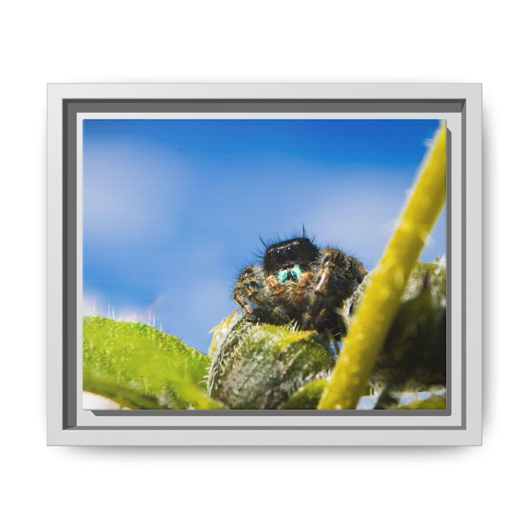 A jumping spider peering over a green leaf beside a yellow stem, with blue sky behind it.