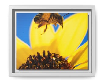 May include: A framed wall art print featuring a close-up of a fuzzy bee hovering above the dark brown center of a bright yellow sunflower. The background is a solid, vibrant blue sky, creating a high-contrast nature scene in a white frame.