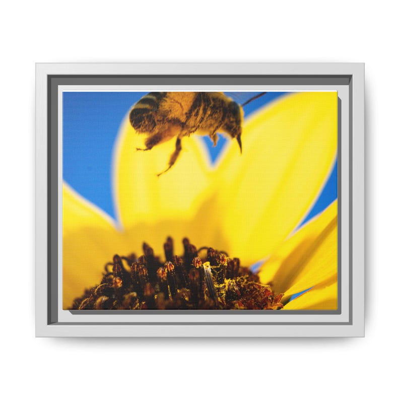 The Pollinator’s Dance | Original Bee Photography image 1