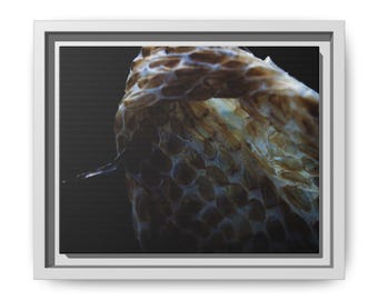 Snake Shed Skin Macro Photography Print | Abstract Nature Wall Art (Framed)