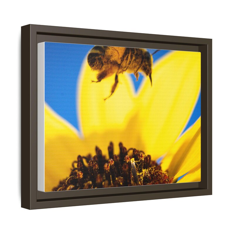 The Pollinator’s Dance | Original Bee Photography image 18