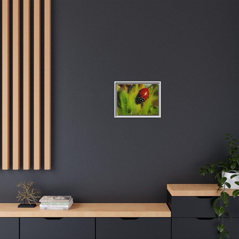 Among the Green | Original Lady Beetle Photography imagen 8