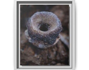 Fossil Fish Vertebrae Print | Macro Paleontology Wall Art (Cotton Canvas)