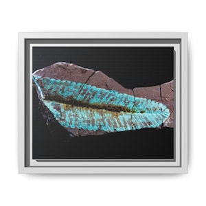 Spuren urzeitlichen Lebens | Leinwanddruck mit Fossilienfotografie | Wandbild zur prähistorischen Naturgeschichte Bild 1