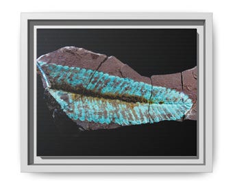 Traces of Ancient Life | Fossil Photography Canvas Print | Prehistoric Natural History Wall Art
