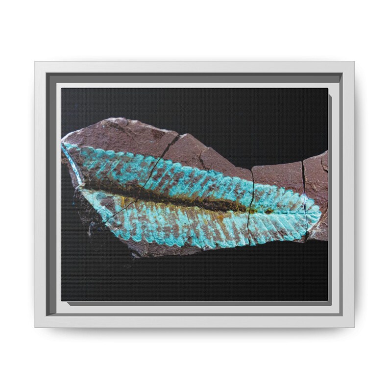 Spuren urzeitlichen Lebens | Leinwanddruck mit Fossilienfotografie | Wandbild zur prähistorischen Naturgeschichte Bild 1