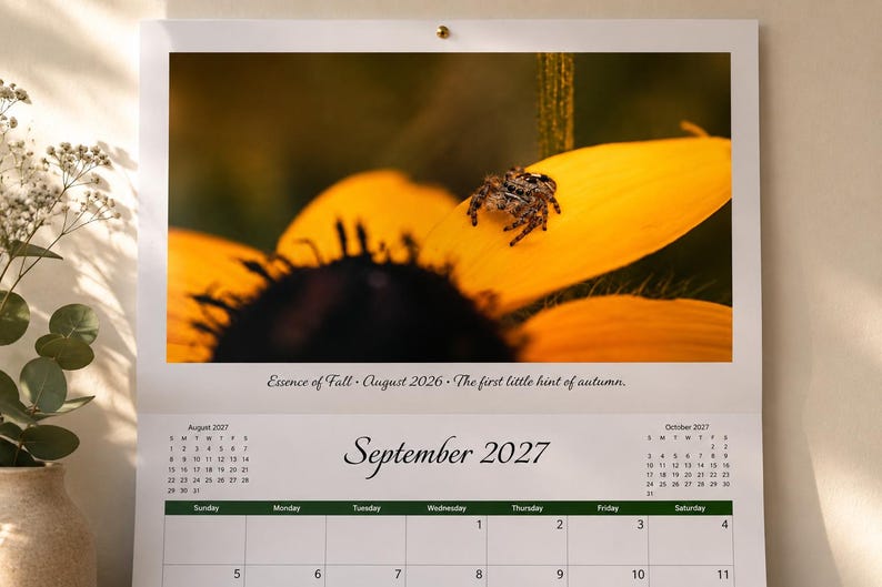 May include: A wall calendar for September 2027 featuring a photograph of a small spider resting on a bright yellow flower petal. The text "Essence of Fall - August 2026 - The first little hint of autumn" is printed below the image above the calendar grid.
